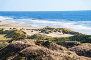 john dellenback dunes trail