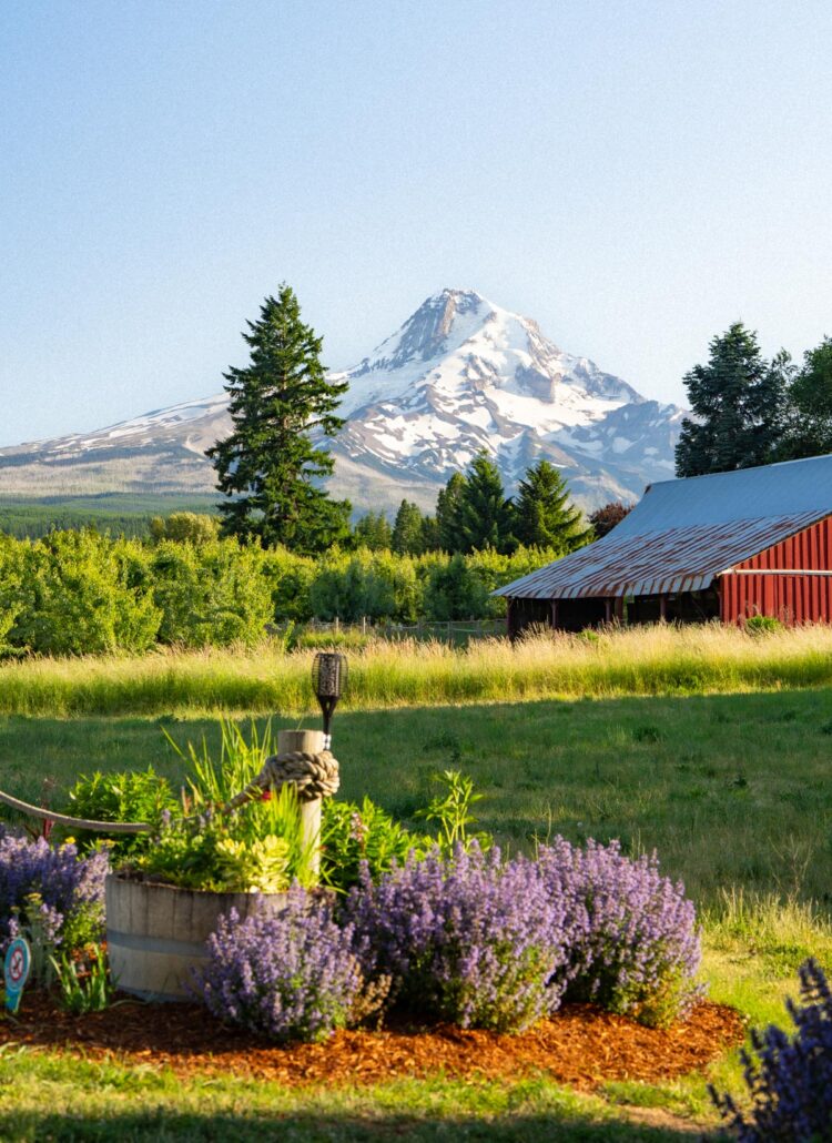 Portland to Hood River Road Trip