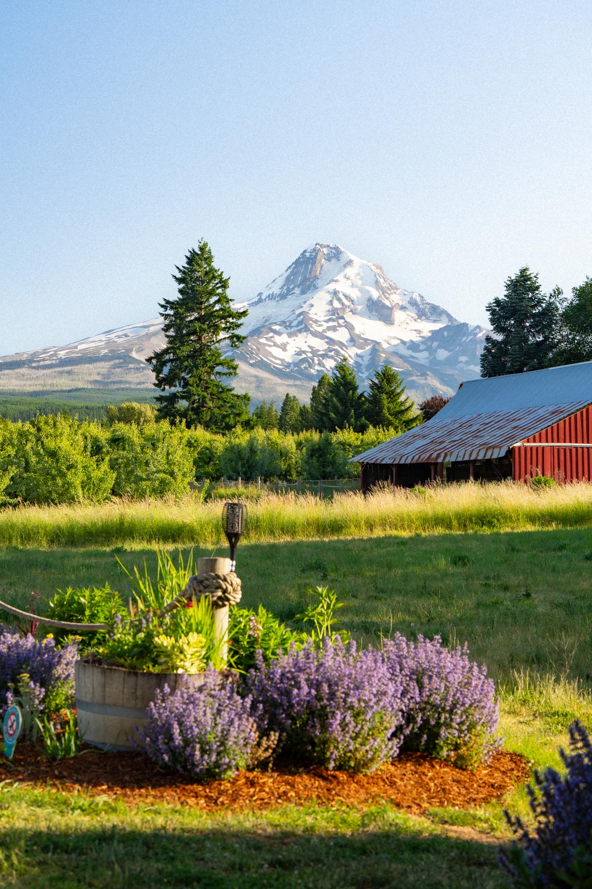 Portland to Hood River Road Trip