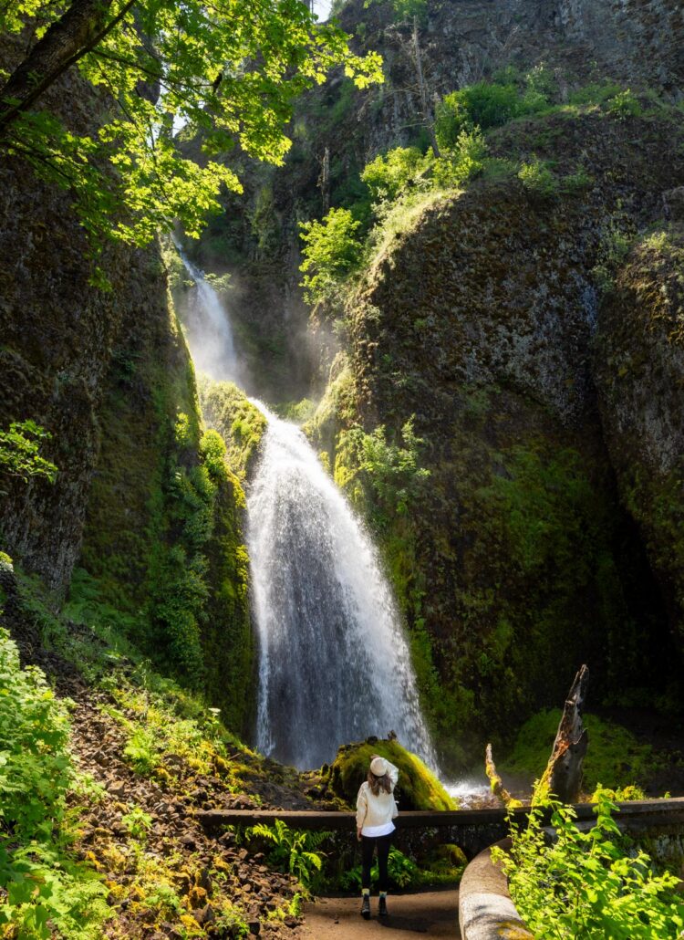 The Best Waterfalls Near Multnomah Falls (10 Falls Most Tourists Miss)