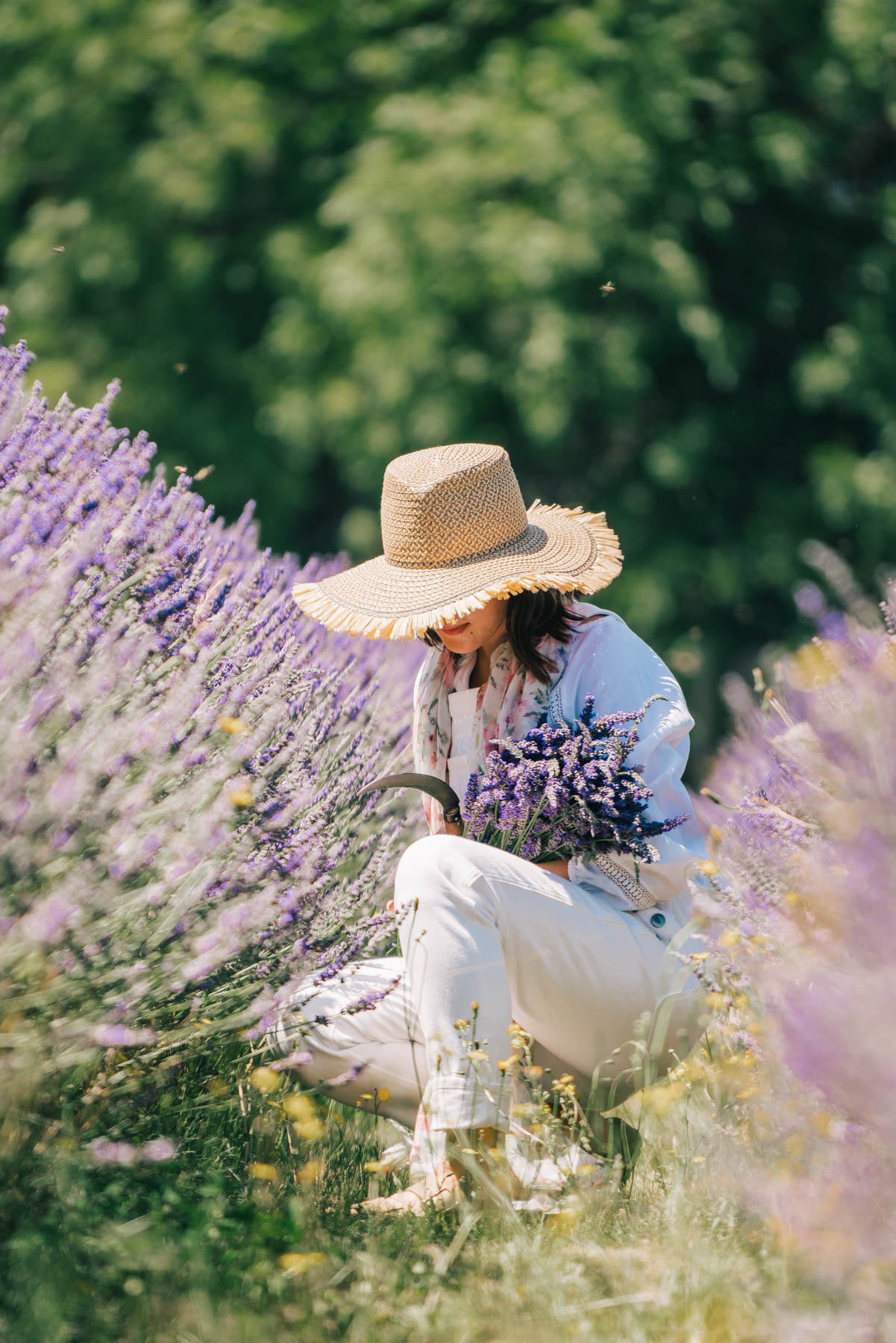 best lavender farms in Oregon