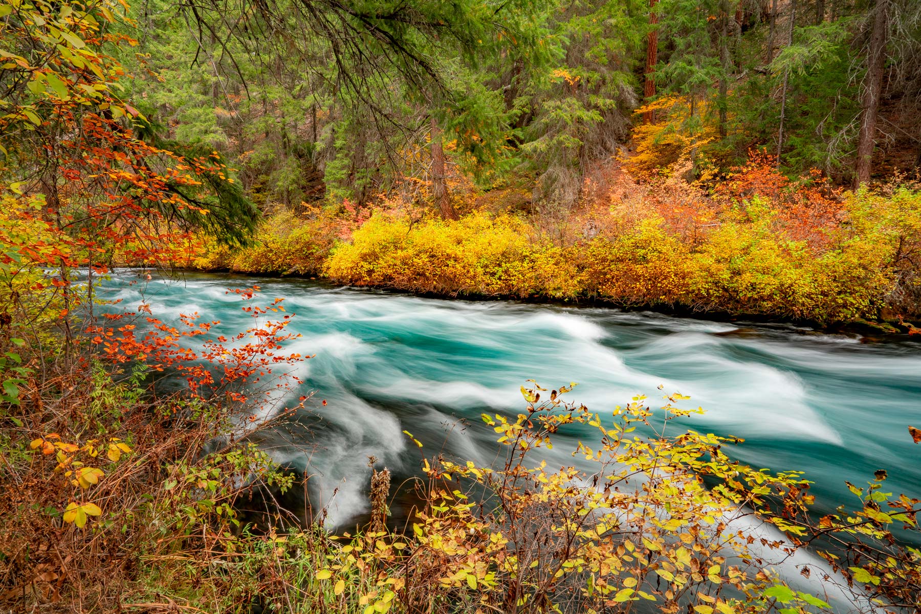 metolius river bend oregon autumn