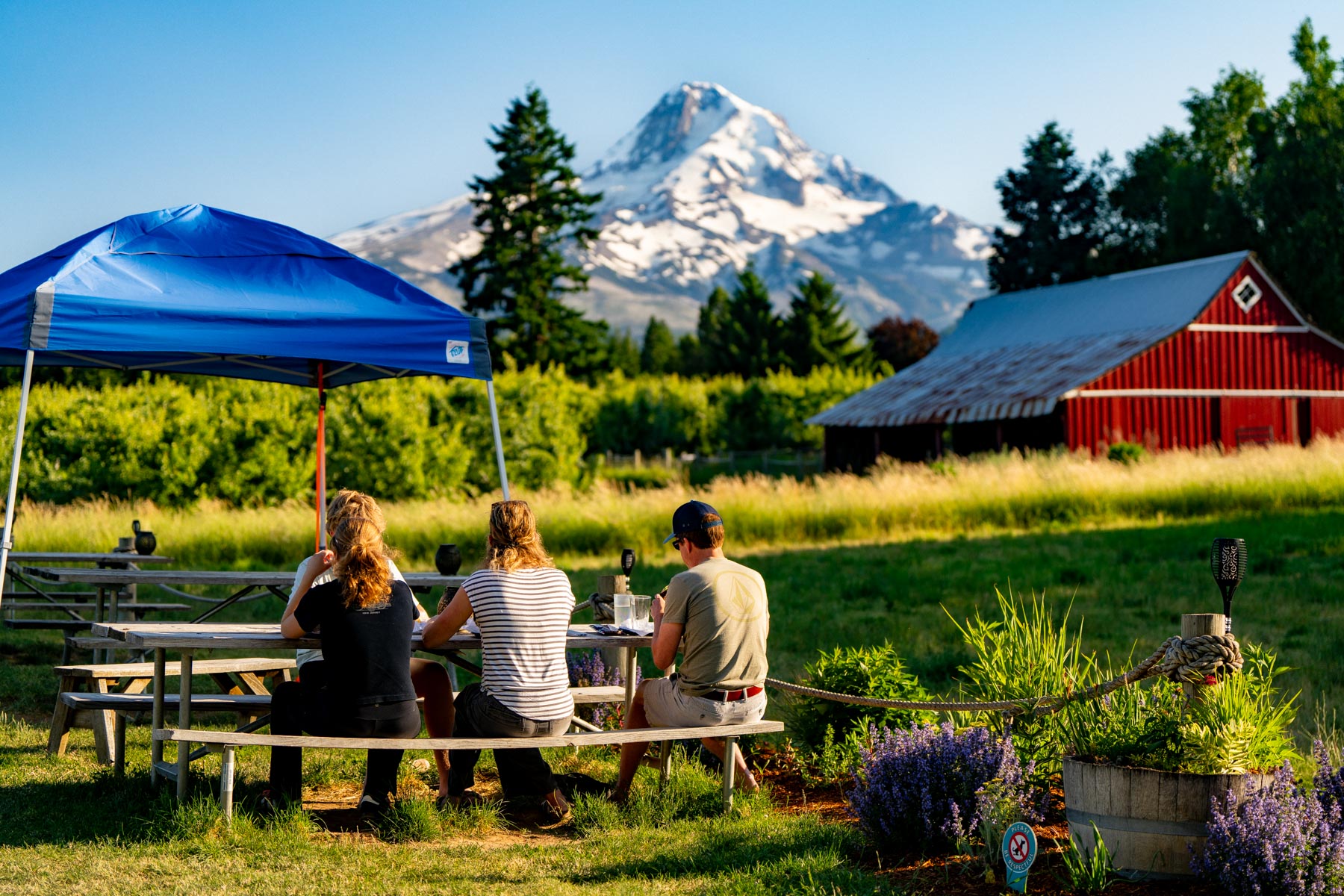 Solera Brewery (Parkdale, OR)