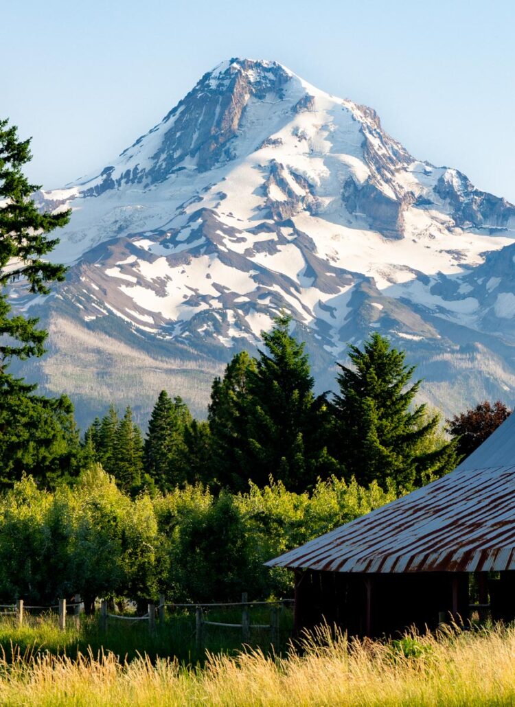 Snow-capped Mt. Hood rising above the town of Hood River and the Columbia River