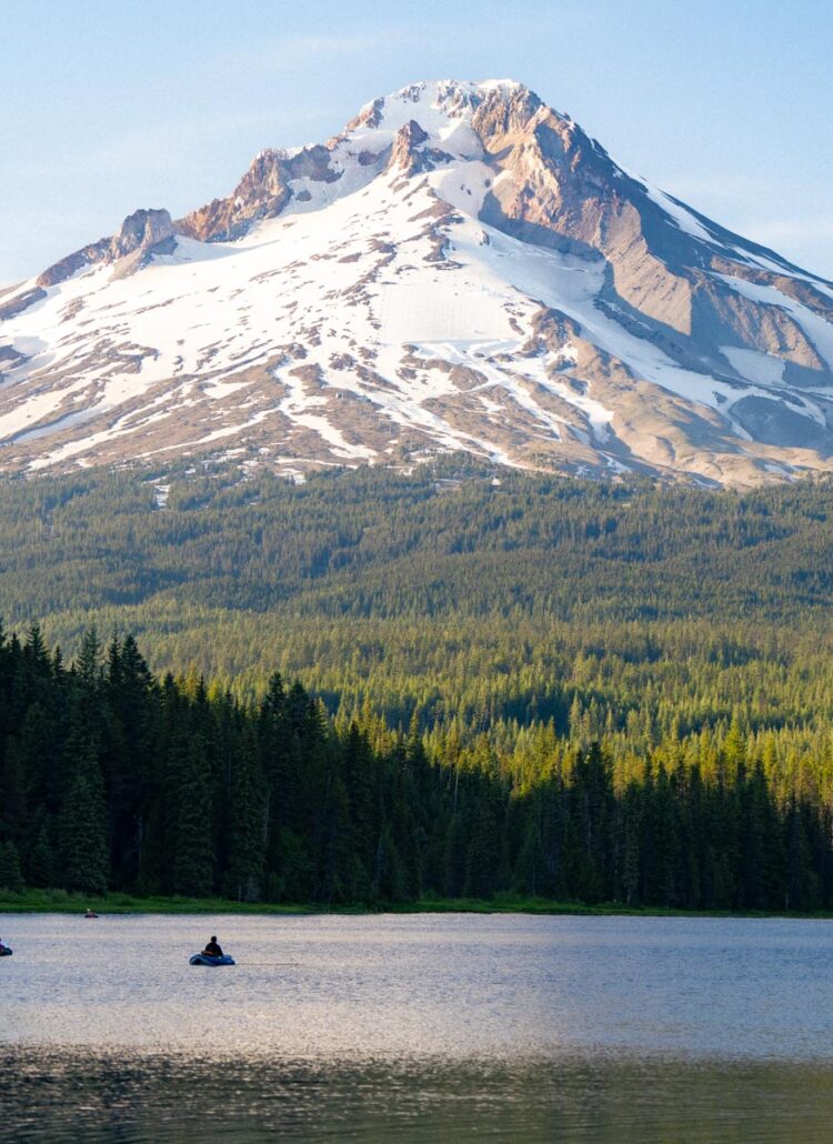 Forested slopes of the Mount Hood National Forest on Oregon's east Cascades