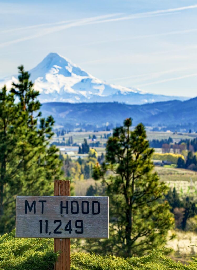 A wooden MT HOOD 11,249 sign at Panorama Point overlooking the orchard-covered Hood River Valley with Mount Hood in the distance