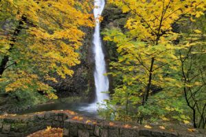 Horsetail Falls Columbia Gorge Oregon