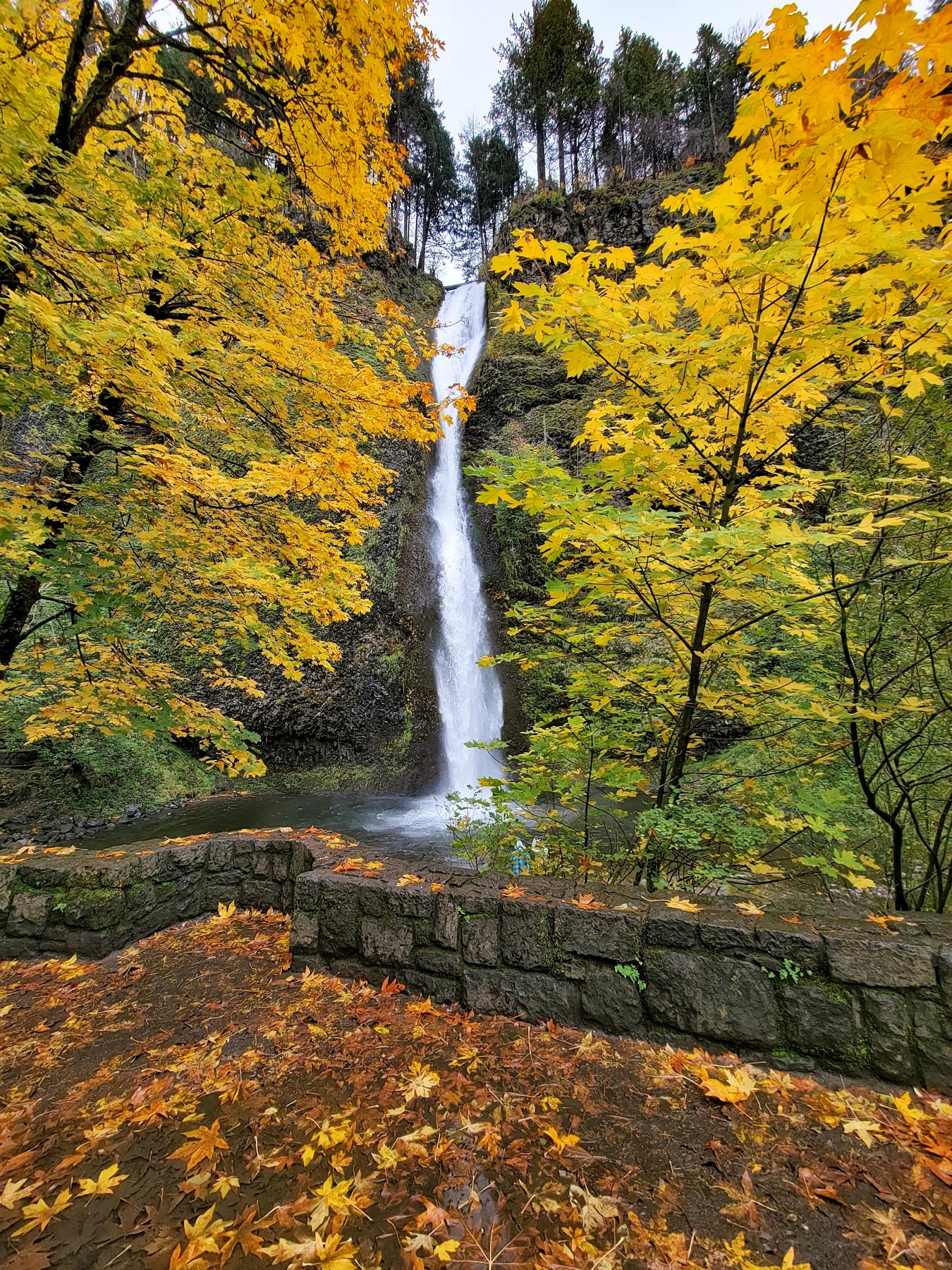 Horsetail Falls Columbia Gorge Oregon