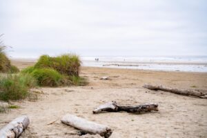 Manzanita Beach