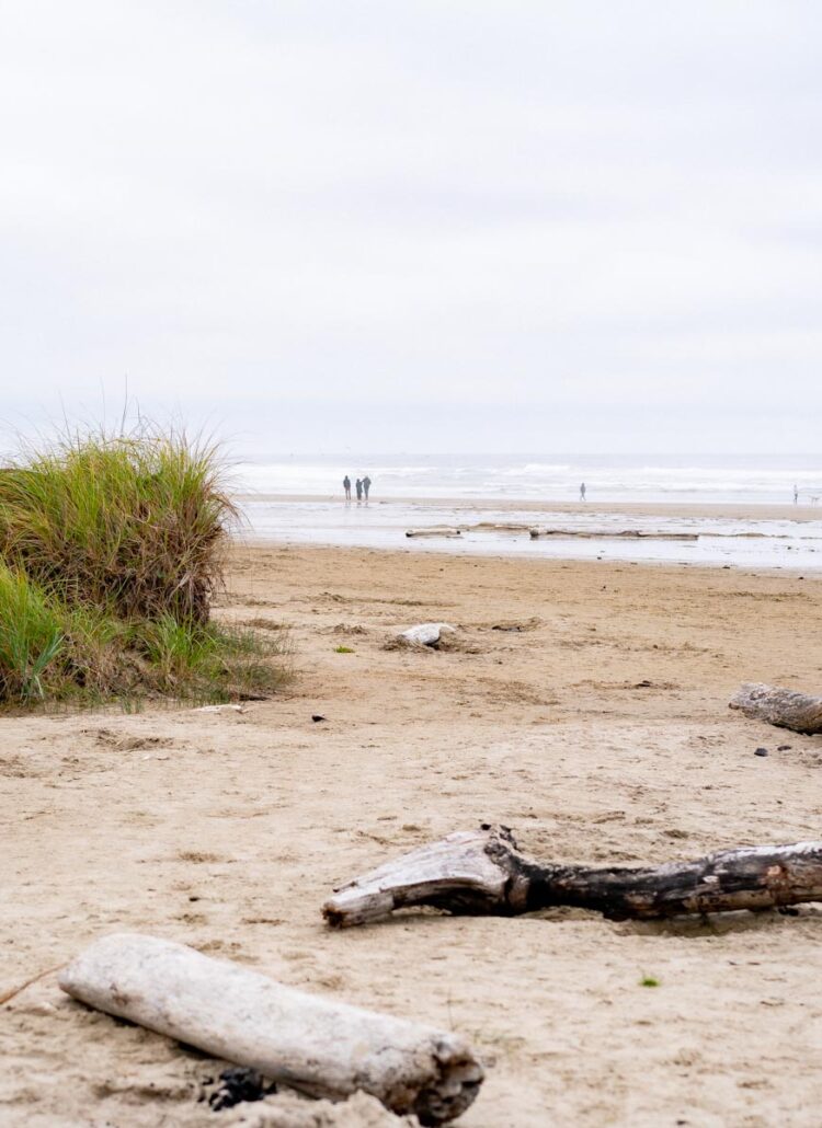 Manzanita Beach