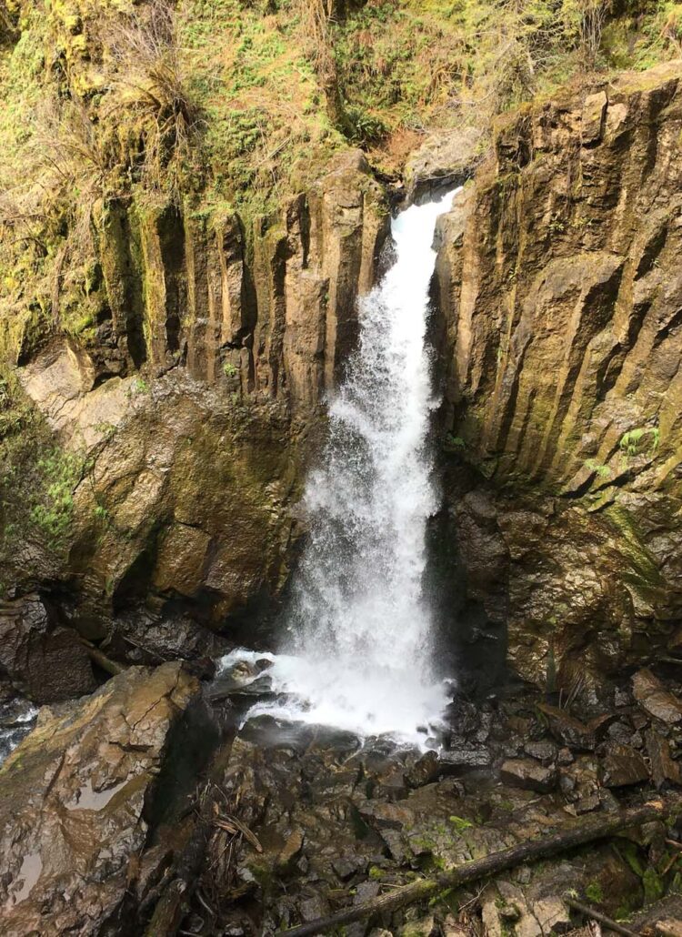 Drift Creek Falls in the Siuslaw National Forest
