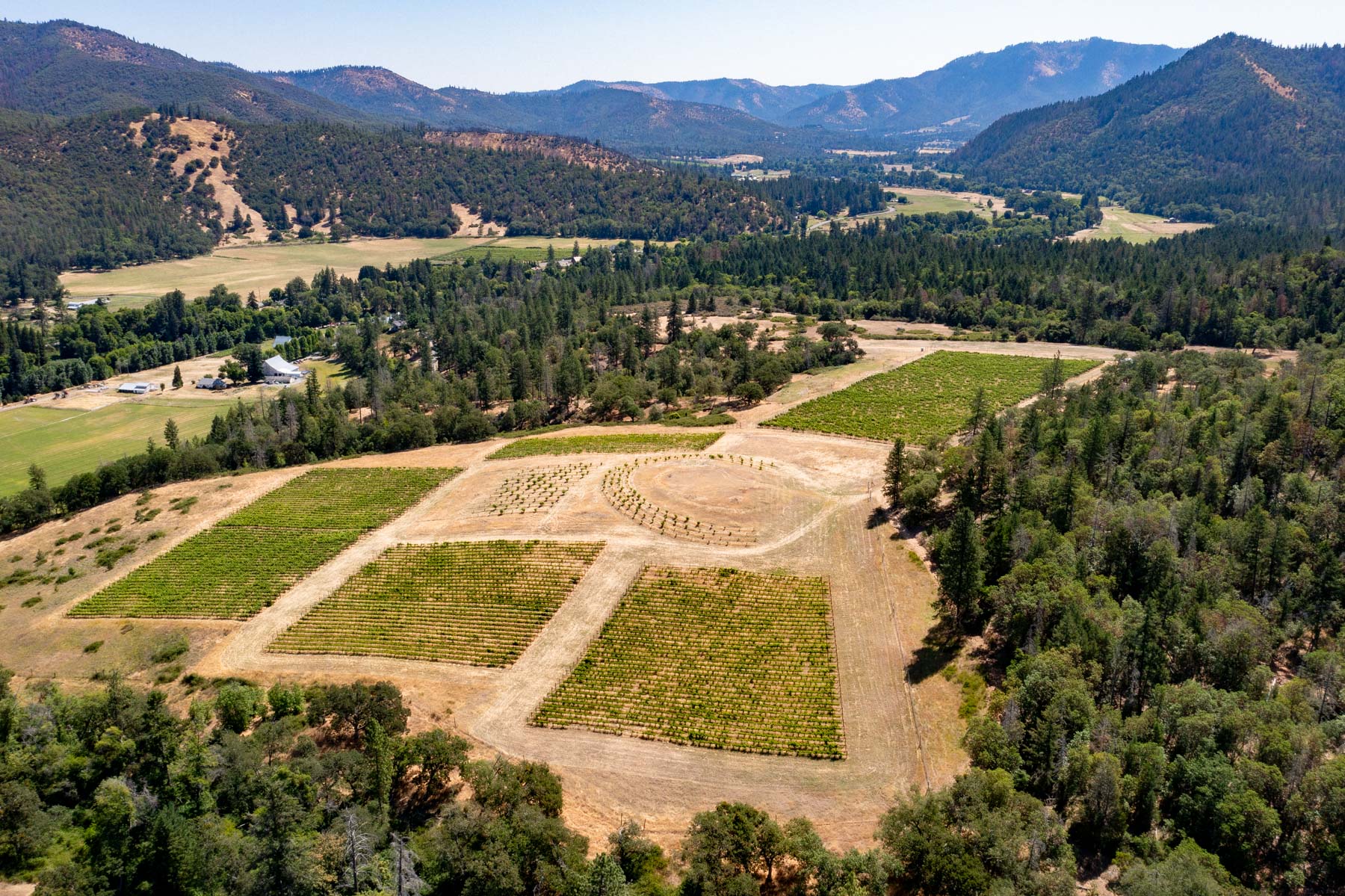 Southern Oregon wineries