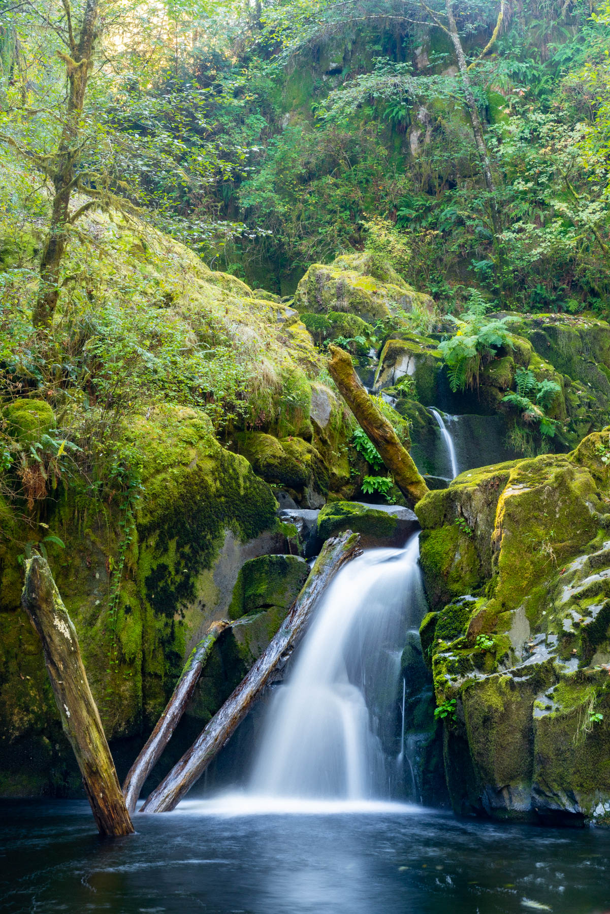 Sweet Creek Falls Oregon Coast