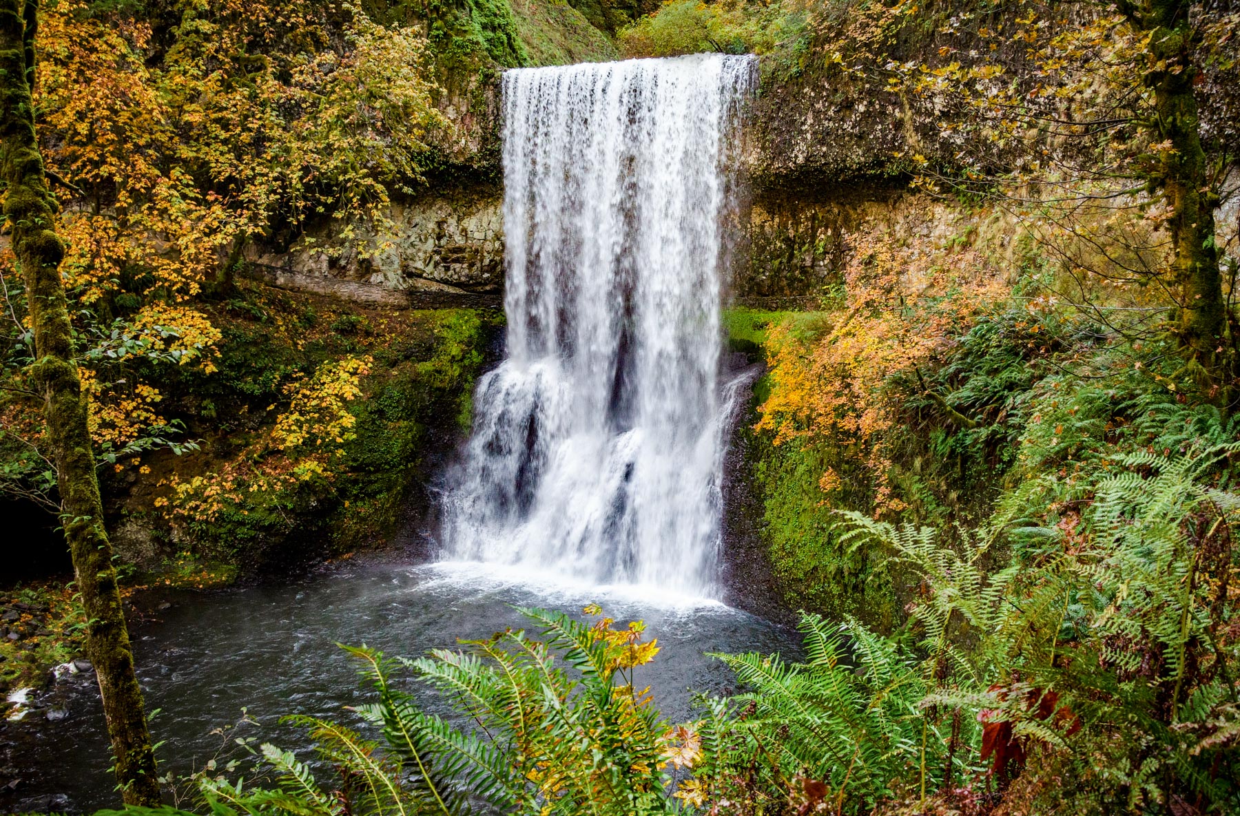 Trail of Ten Falls Oregon 