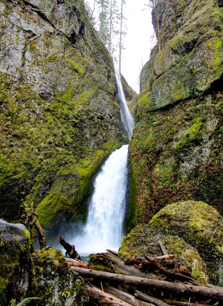 Wahclella Falls Trail Oregon