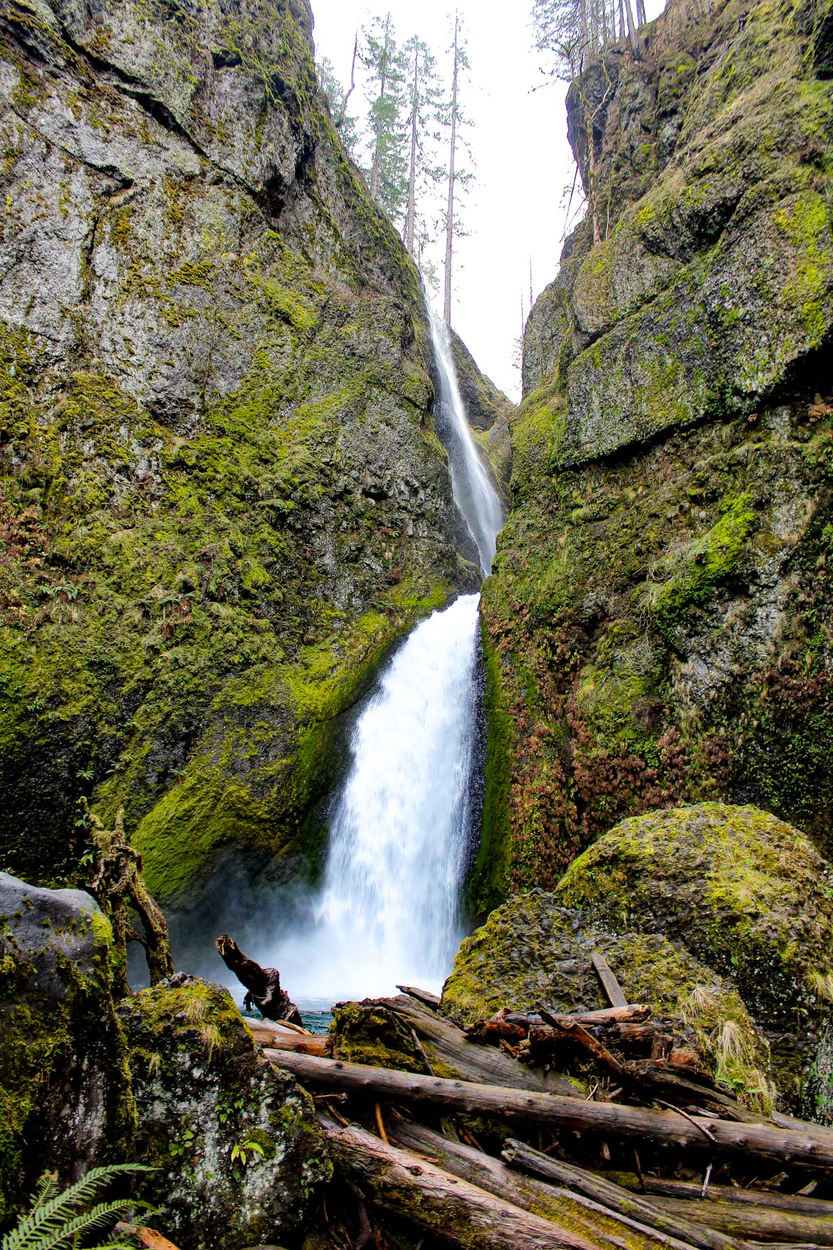 Wahclella Falls Trail Oregon 