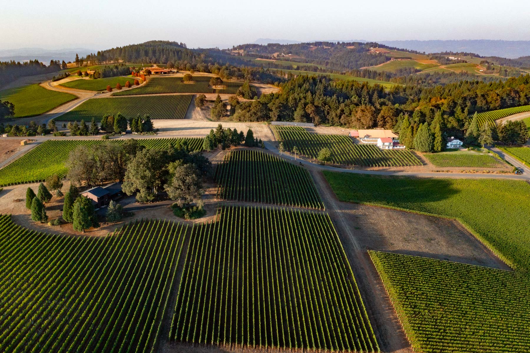 visiting Oregon Wine Country