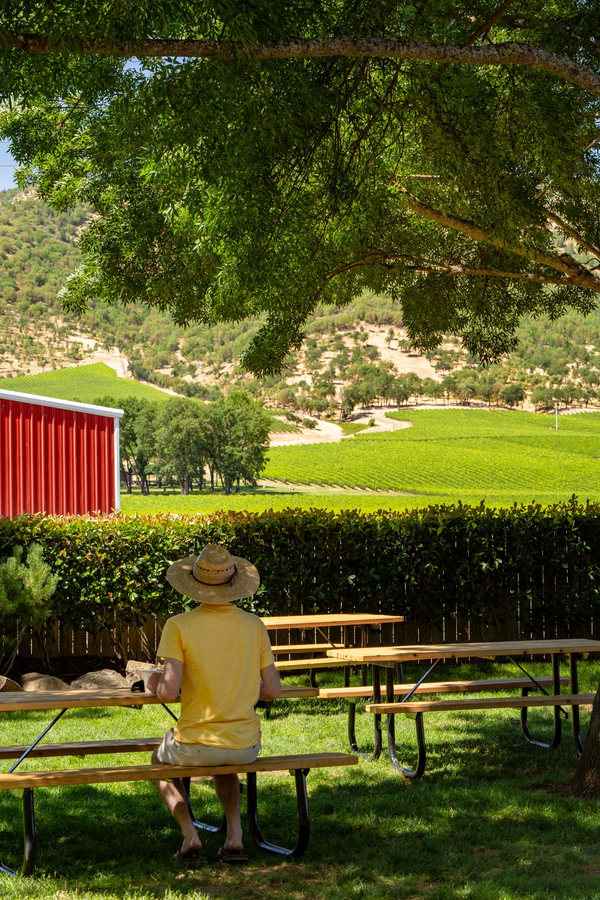 Applegate Wine Region Oregon