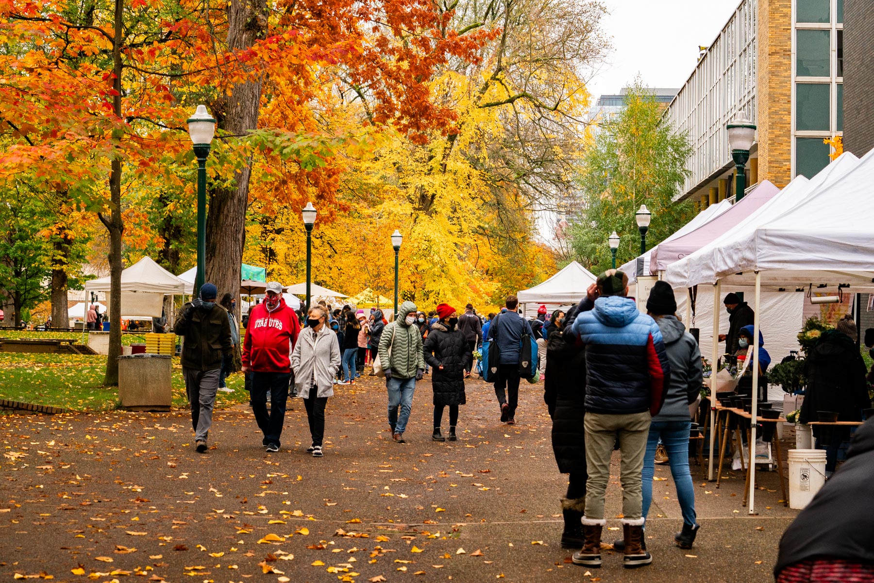 Best time to visit Oregon