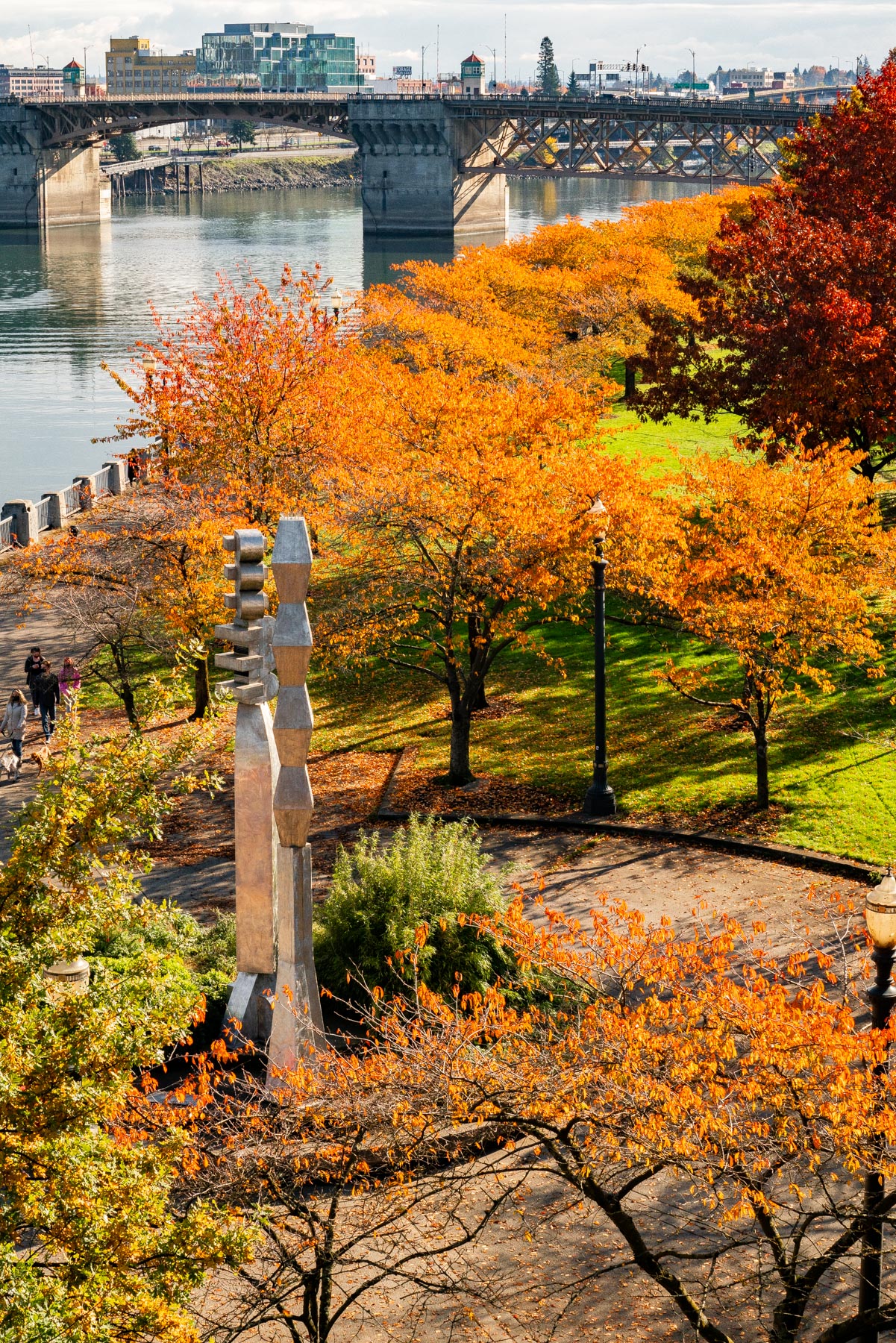 autumn foliage at tom mccall waterfront park in portland in the fall