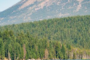 Mt. McLoughlin above Lake of the Woods