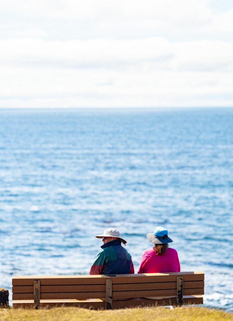 Whale watching on the Oregon coast