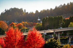 portland tram