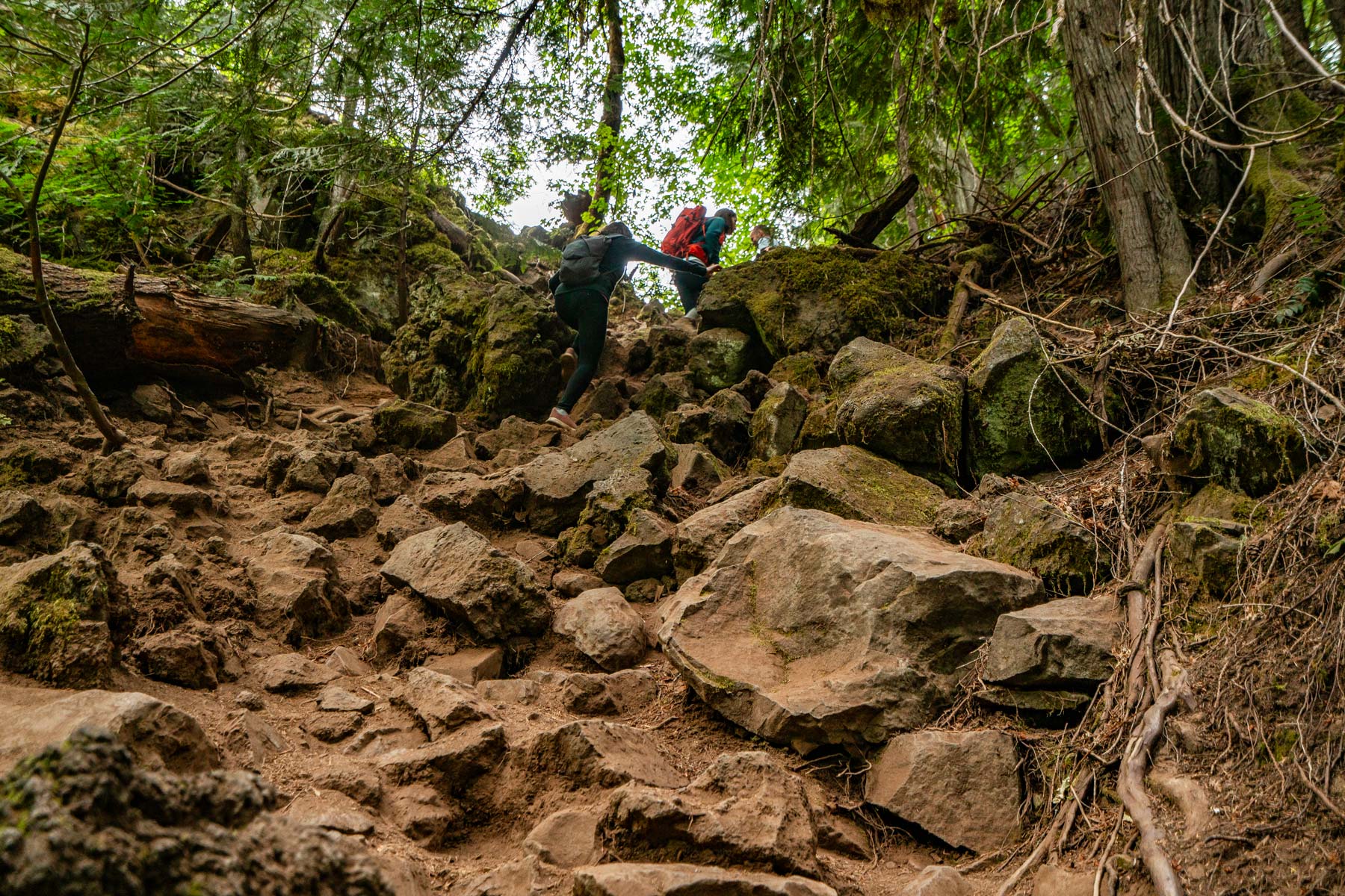 tamolitch blue pool hike oregon