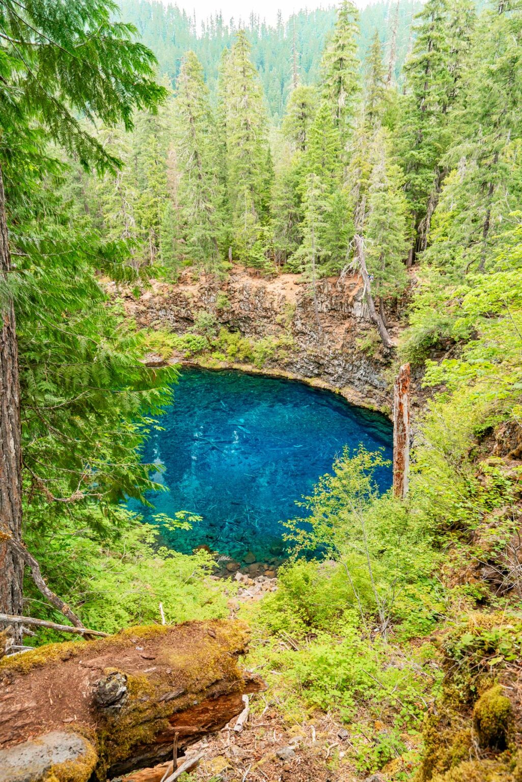 Hike to the EPIC Tamolitch BLUE POOL in Oregon (Local's Guide)