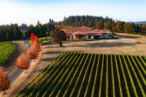 Domaine Serene from above