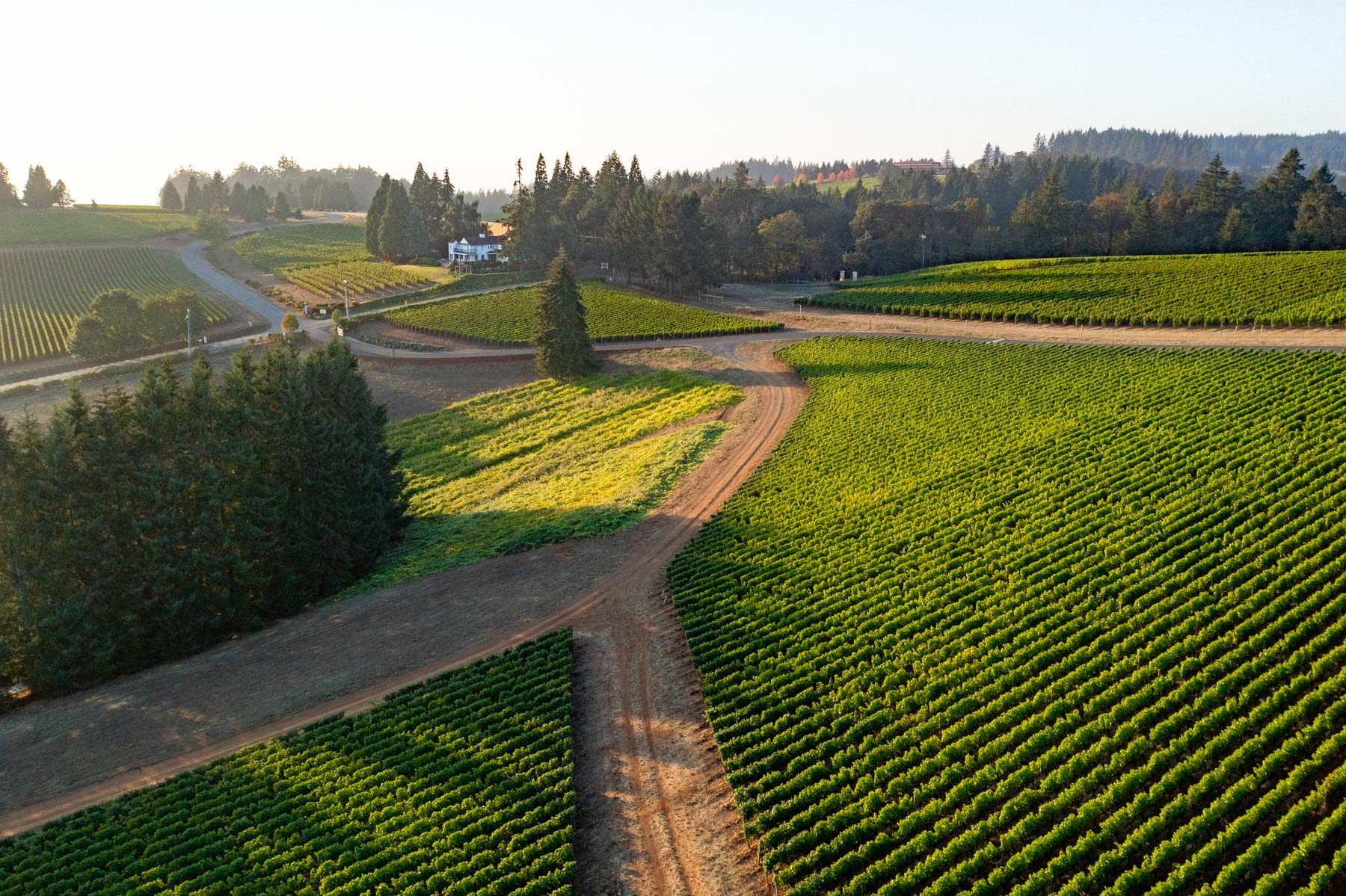 Best wineries Willamette Valley Oregon 