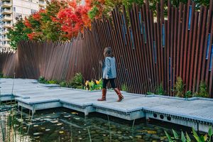 The Pearl District in the fall