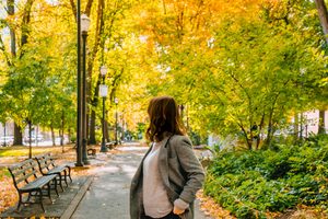 South Park Blocks in the fall
