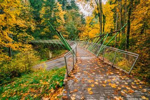 Forest Park in the fall