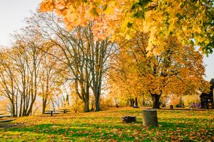 Overlook Park in the fall