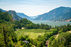 The Columbia River Gorge