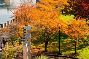 Tom McCall Waterfront Park in the fall
