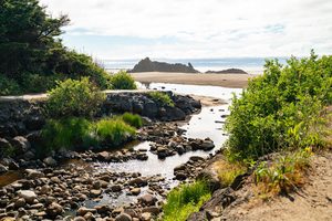 The creek and tide pools at Fogarty Creek