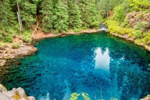 The Tamolitch Blue Pool from the trail above it